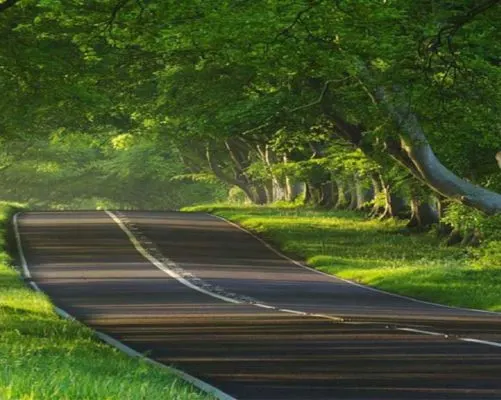 Plotted development in Goa